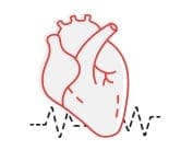 Cardiovascular_icon