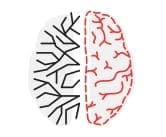 Neurology_icon
