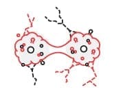 Oncology_icon